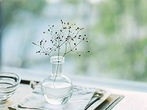 遥控汽车玩具带上飞机？ 玩具携带规定说明