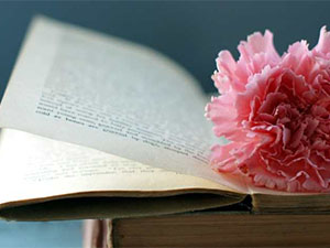 知乎私信回复后无法再回答？ 私信发号码违规风险提示