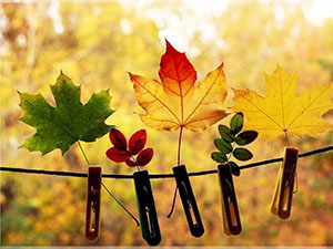 银行授权书范本格式？ 农行委托授权书样本