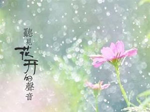 易企秀制作手机海报？ 手机海报制作教程