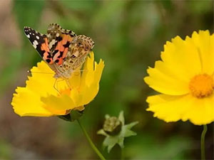 上海微信实名认证怎么更改 微信实名认证后可以更换吗？