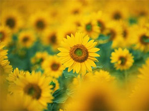 移动积分获取方式？ 移动积分积累途径