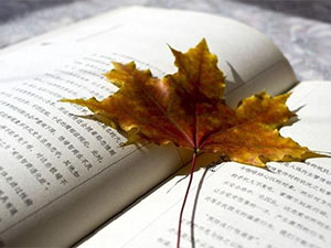 一加手机应用商店安装包？ 安装包位置查找