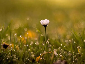 怎么做网格？ VI手册网格制图方法